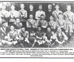 1931 Senior Football Champions